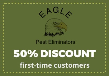 discount-2