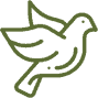 Eagle Pest Eliminators Bird Control