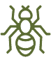 Eagle Pest Eliminators Odorous House Ants