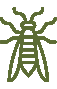 Eagle Pest Eliminators - Yellow Jackets