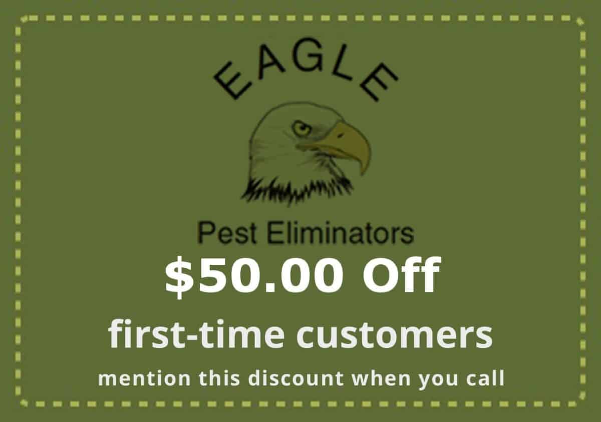 Pest Control Service Discount Pest Control Service Discount - Seattle-Everett-WA