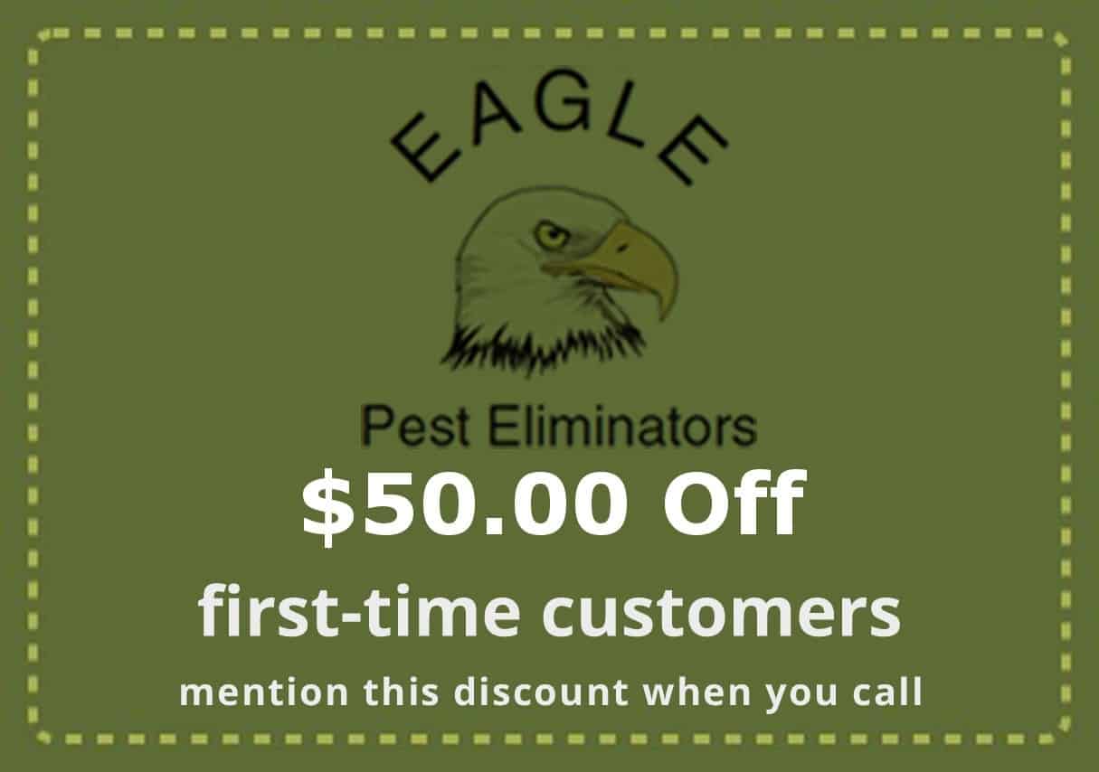 Pest Control Service Discount Pest Control Service Discount - Seattle-Everett-WA