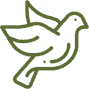 Bird Control