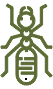 Carpenter Ant Pest Control Service - Seattle, WA
