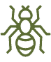 ant pest control service