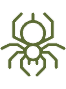 spider