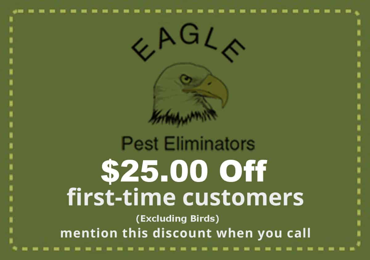 Pest Control Service Discount Coupon Pest Control Discount Coupon - Seattle-Everett-WA