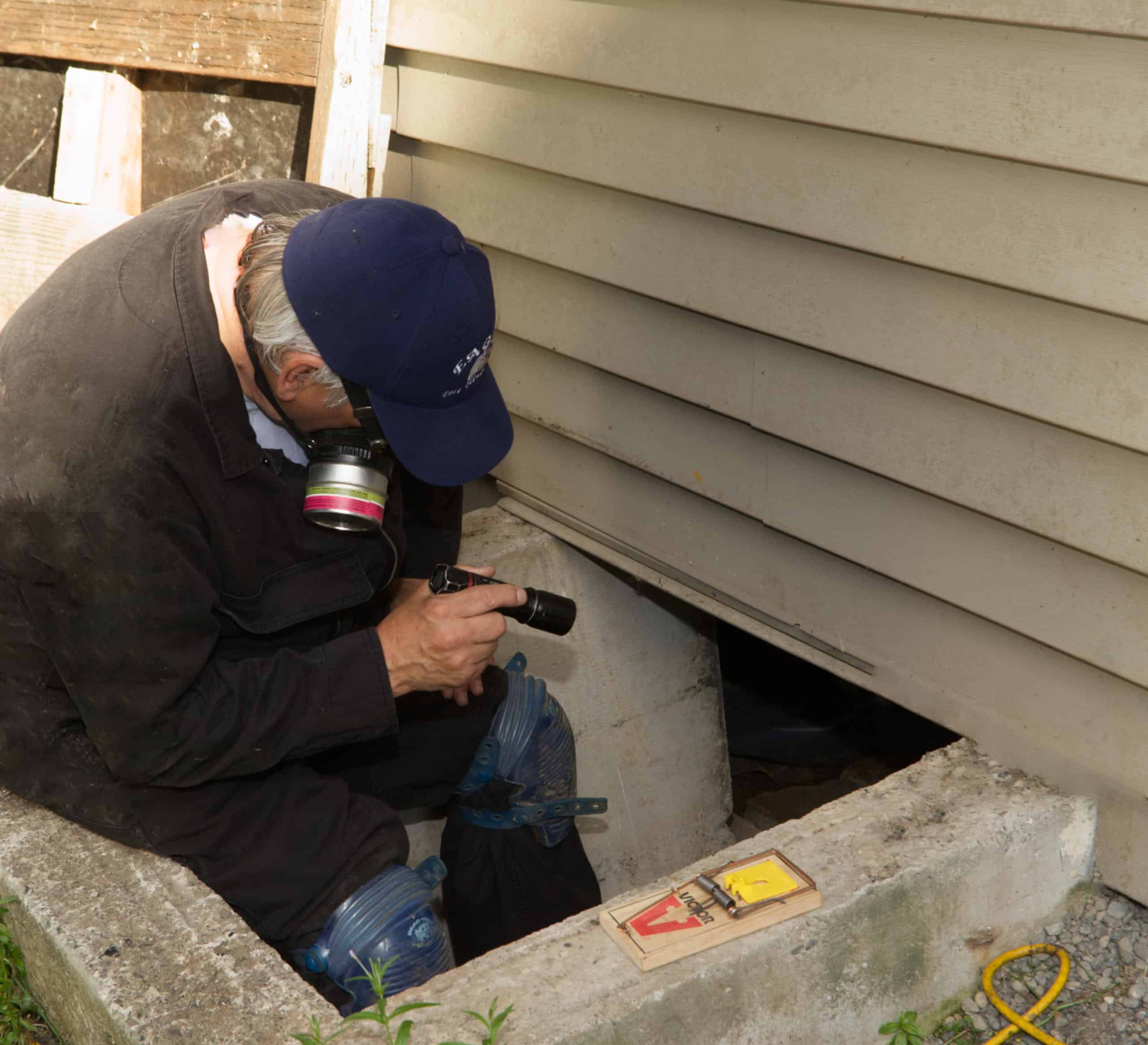 one of our staff checking into a basement for rodents