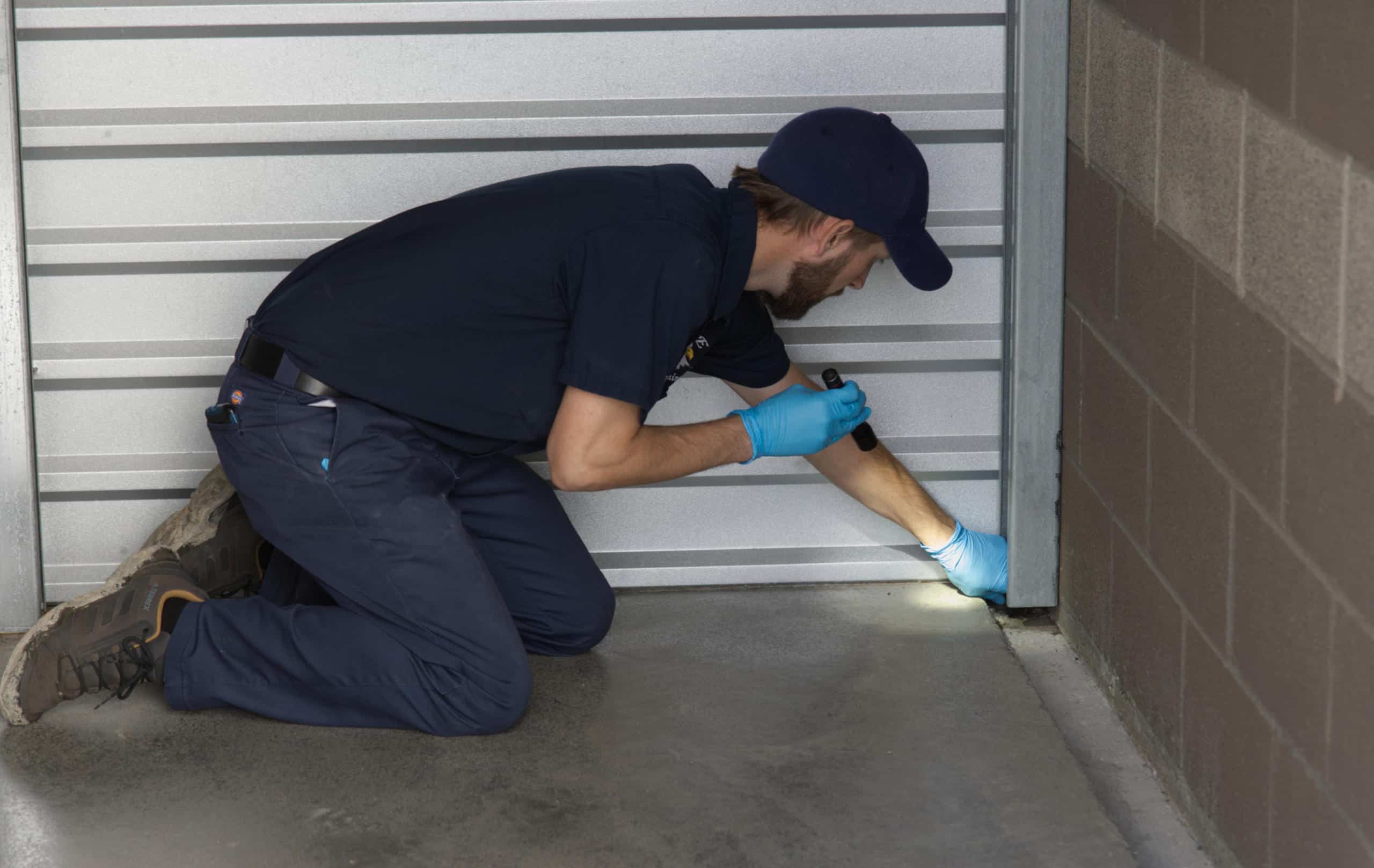 one of our staff checking pest in a client's house