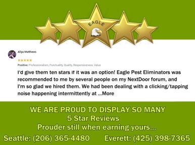 Pest control testimonial displayed on a green and white background with five gold stars and company logo overlayed.