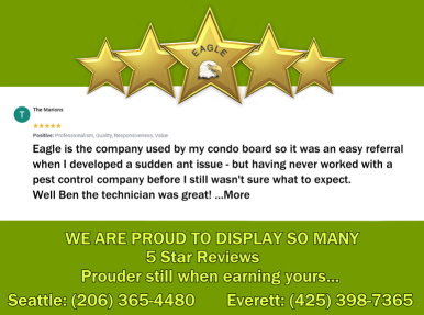 Customer review displayed on a green and white background with five gold stars and company logo overlaid.