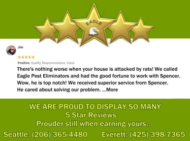 Display of a customer review with overlaid company logo and five stars.