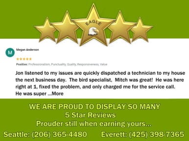 Pest control customer review displayed with overlaid company logo and five gold stars.