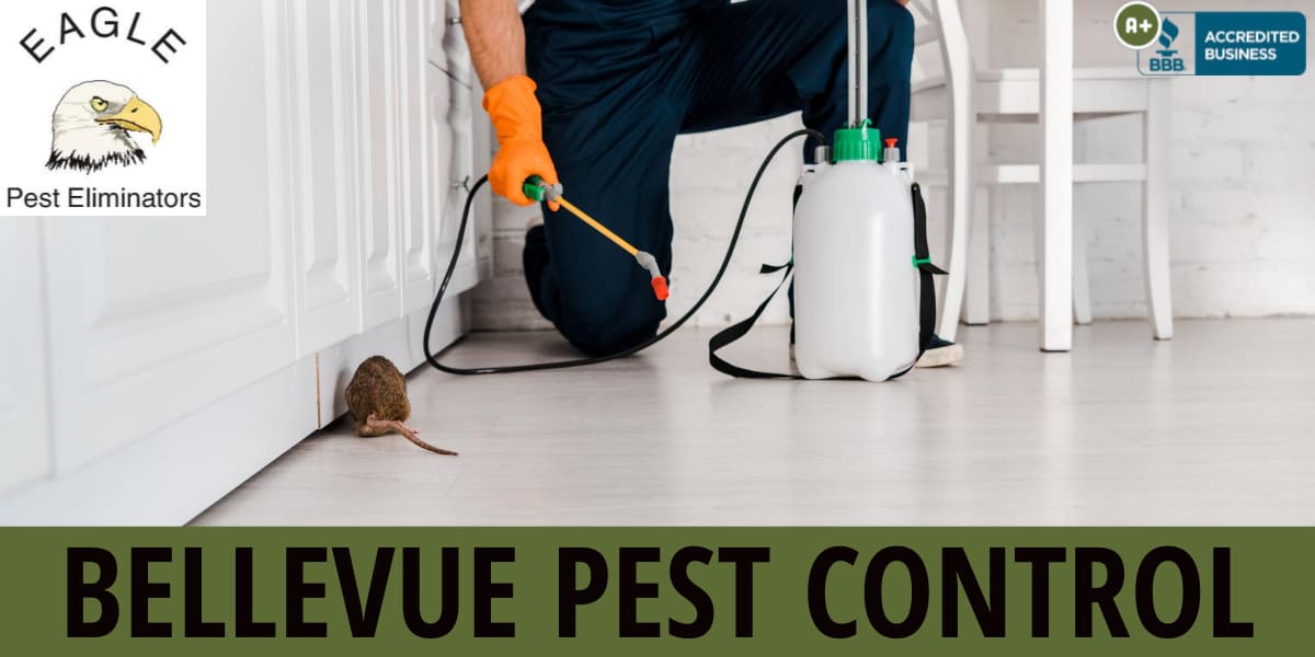 A male pest control technician kneeling on floor to remove a rodent.
