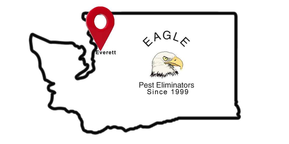 Pest Control Exterminator, Everett serving pest control in Everett