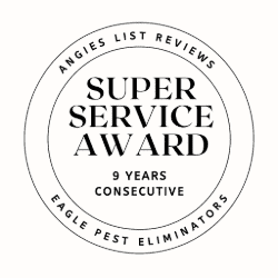 Angie's List super service award